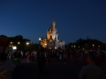 Night at Disney