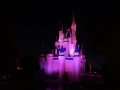 Fireworks at the Magic Kingdom