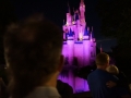 Fireworks at the Magic Kingdom