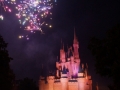 Fireworks at the Magic Kingdom