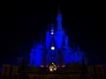 Fireworks at the Magic Kingdom